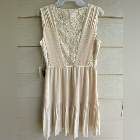 Forever 21 Beautiful Sleeveless V-Neck Lace Pleated Dress - Picture 6 of 6